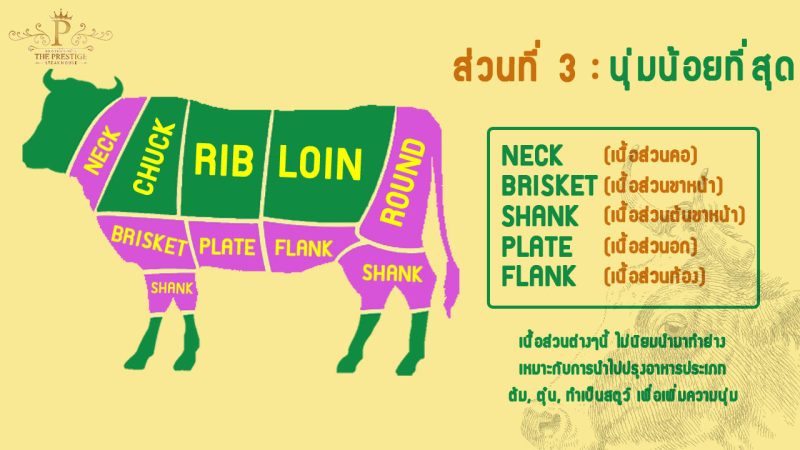 ชิ้นส่วนวัว3